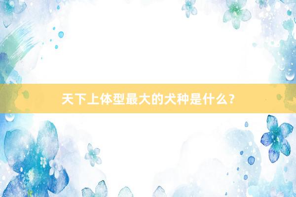 天下上体型最大的犬种是什么？