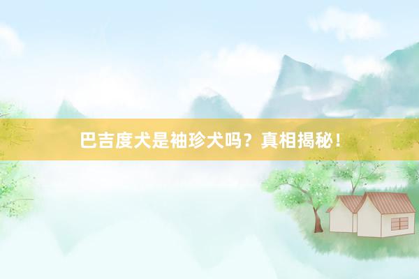巴吉度犬是袖珍犬吗？真相揭秘！